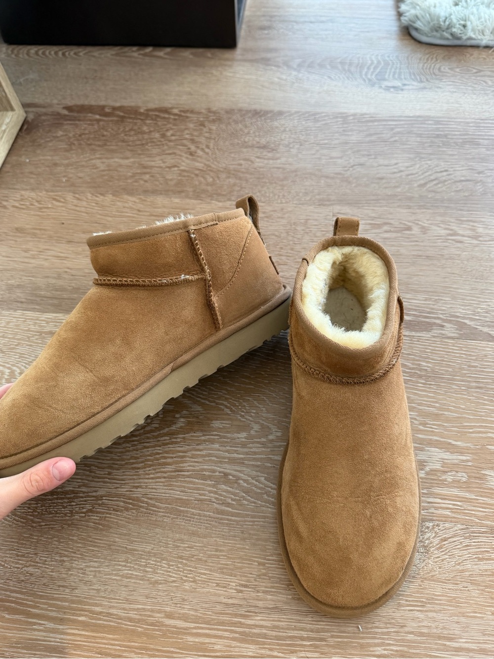 UGG women’s Mini Classic Suede Boot in Chestnut